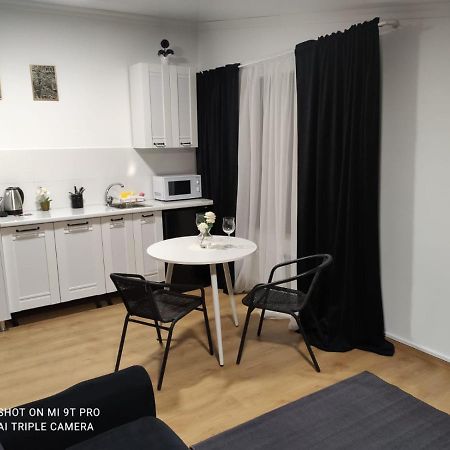 Studio In The Center City คีชีเนา ภายนอก รูปภาพ
