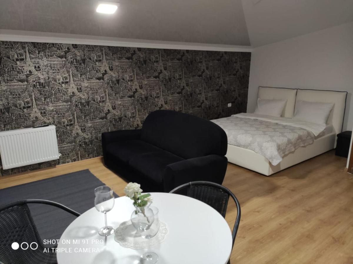 Studio In The Center City คีชีเนา ภายนอก รูปภาพ